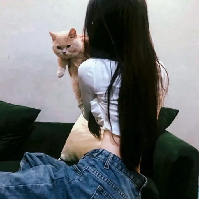 钦天奇谭